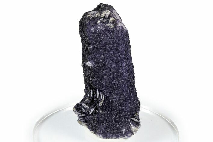 Purple Fluorite Encrusted Quartz Crystal - New Find! #350643